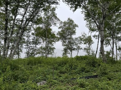 24 Annie's Way, Addison, ME 04606 - photo 6