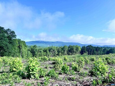 0 Hunting Lodge Rd unit 667063, Schuyler, VA 22969 - photo 2