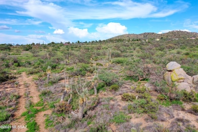 DJI_0570