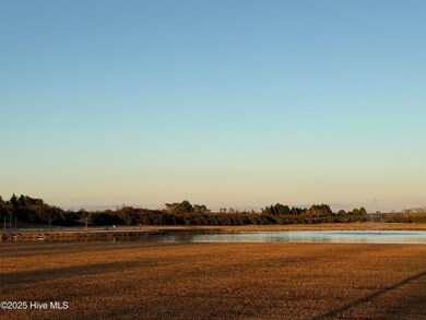 119 Quarter Horse Ln, Hertford, NC 27944 - photo 7
