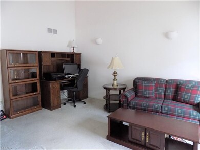 841 Holly Oak Ln, Aurora, OH 44202 - photo 7