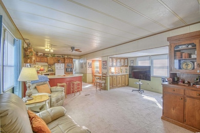 Carpeted living room featuring ceiling fan and a h