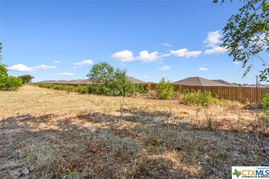 820 Goates Rd, Troy, TX 76579 - photo 5