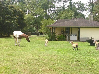 23813 Murrell Rd, Hockley, TX 77447 - photo 3