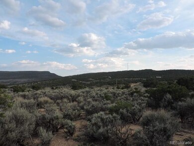 3788 Regan Place, Fort Garland, CO 81133 - photo 5