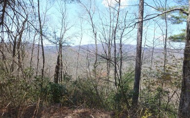 Additional View