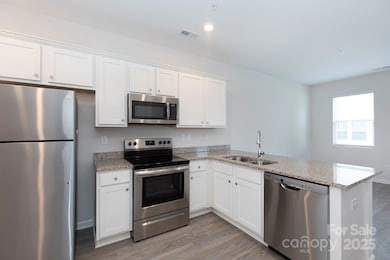 2410 Via Del Conte, Charlotte, NC 28205 - photo 3