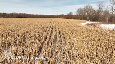 00 VL W Dodge Rd, Clio, MI 48420 - photo 6