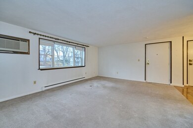 56 Coffey St unit 10, Dorchester, MA 02122 - photo 3