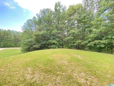 964 Blue Ridge Way unit 41, Odenville, AL 35120 - photo 7