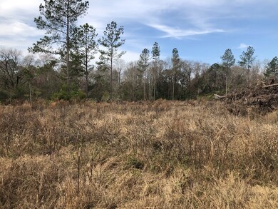 390 Lundy Rd, Sylvester, GA 31791 - photo 3