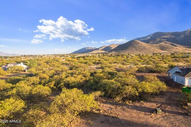 Photo May 08 2025, 6 24 32 PM