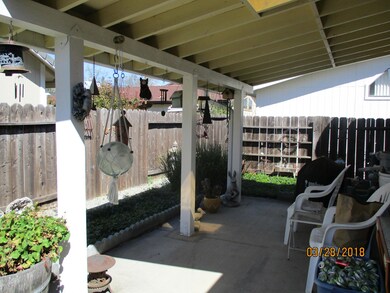 Back patio