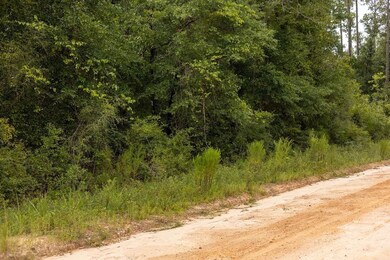 0 Pike Pond Rd unit 25388252, Alford, FL 32420 - photo 7