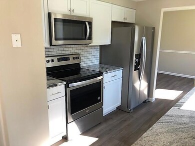 Dinsmore kitchen4