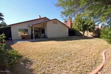 Back yard