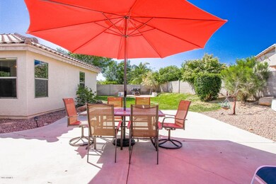 back yard 3