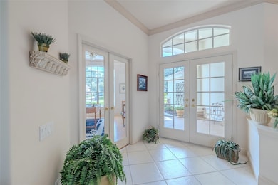 6031 Audubon Manor Blvd, Lithia, FL 33547 - photo 7