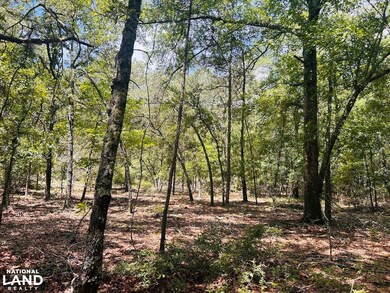 0 Moores Chapel Rd unit 25800784, Mauk, GA 31058 - photo 7