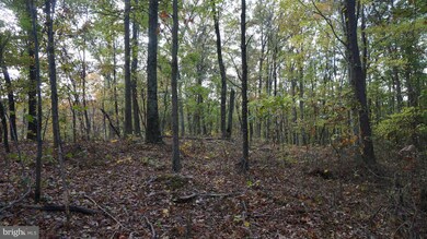 0 Jordan Hollow Ln unit 1000167925, Berkeley Springs, WV 25411 - photo 7