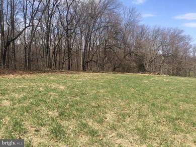 0 Mount Gilead Rd unit 1000326486, Leesburg, VA 20175 - photo 5