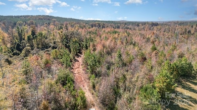 13562 Smithford Rd, Hickory Grove, SC 29717 - photo 3