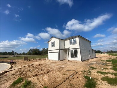 26229 Wildrye Dr, Magnolia, TX 77355 - photo 5