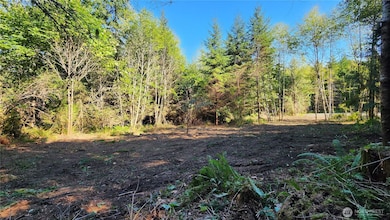 5742 Duane Ln NW, Olympia, WA 98502 - photo 2