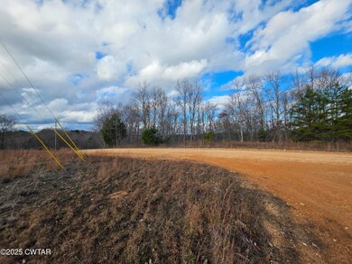 0 B J Woodson Ln unit 2505592, Clifton, TN 38425 - photo 3