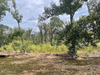 198 Stallings Bridge Rd, Tylertown, MS 39667 - photo 5