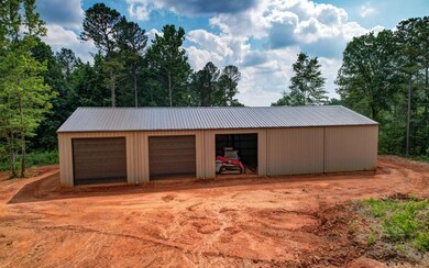 1379 Leeches Rd, Ellijay, GA 30540 - photo 4