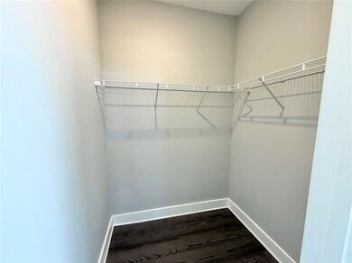 Spacious closet with dark wood finished floors