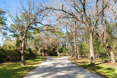 19326 Chateau Ridge Ct, Tomball, TX 77377 - photo 4