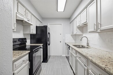 13838 Beech Hollow Ln, Houston, TX 77082 - photo 6