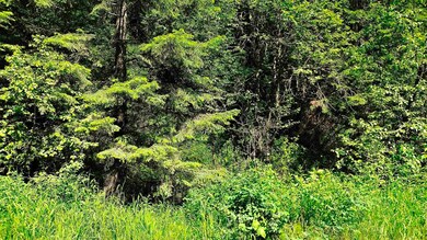 NNA McCloud Creek Rd, Newport, WA 99156 - photo 6