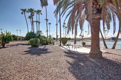 Back Yard Overlooking Water