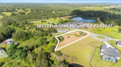 15323 Fishhawk Heights Run, Lithia, FL 33547 - photo 5