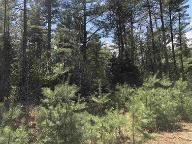 20 Adams Way, Middleton, NH 03887 - photo 3