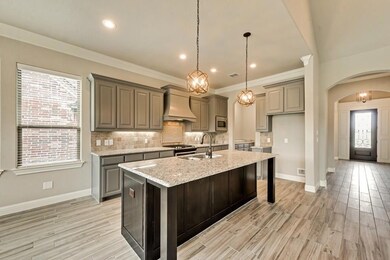 339 Paddle Boat Dr, Granbury, TX 76049 - photo 3