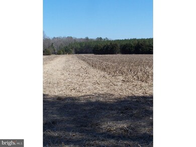 Lot A Shingle Point Rd, Georgetown, DE 19947 - photo 3