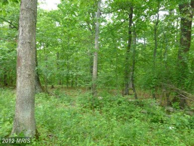 0 Mount Gilead Rd unit 1003991050, Leesburg, VA 20175 - photo 3