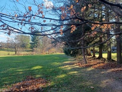 Scenic View