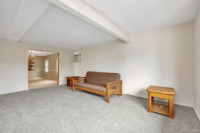 15 N Butehorn St, Bethpage, NY 11714 - photo 7