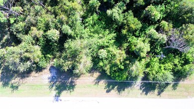 197 Cougar Way, Rotonda West, FL 33947 - photo 6