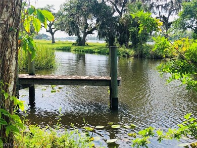 Dock-Cypress creek