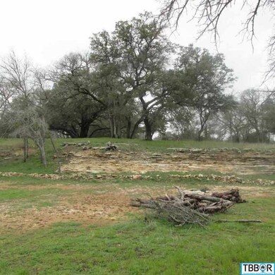 143 Deer Run, Moody, TX 76557 - photo 3