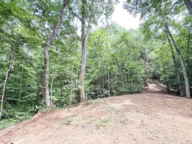 0 Forest Creek Pkwy unit RTC2908571, Oak Ridge, TN 37830 - photo 4