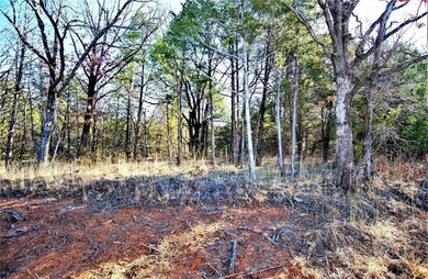 596 Sycamore Hills Loop, Gordonville, TX 76245 - photo 3