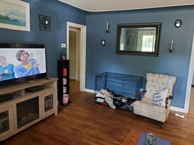 315 N Jackson St SE, Lowell, MI 49331 - photo 5