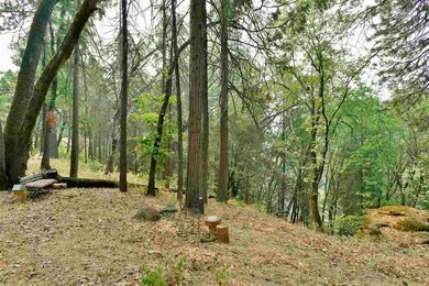 4633 Shasta View Ave, Dunsmuir, CA 96025 - photo 7